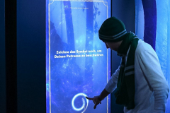 Expecto Patronum - Patronus