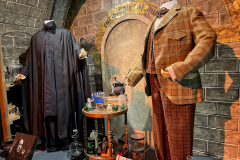 Harry Potter: Die Ausstellung